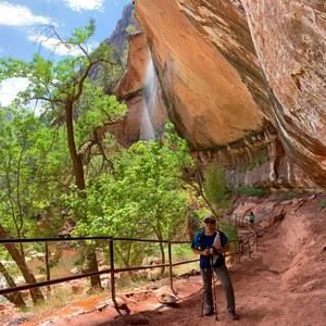 Meet your Posher, Susan